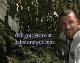 dabstarshop