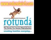 rotundaivf