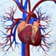 Cardiac Catheterization / Coronary Angiogram