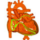 Palpitations And Arrhythmias