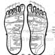 Reflexology