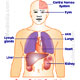 Sarcoidosis / Besnier - Boeck disease