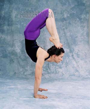 Amazing Yogasana