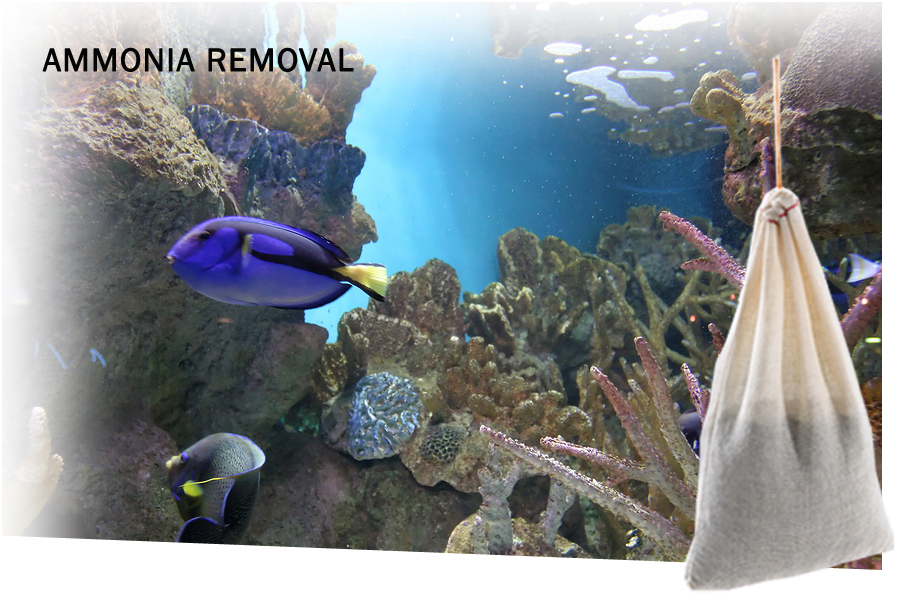 AmmoSorb™ Eco Aquarium Ammonia Removal Pouch: Medium