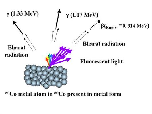 Cobalt-60 is unsafe than previously thought