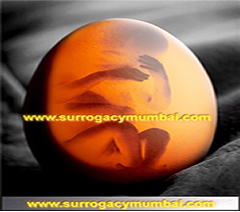 Indian surrogacy agencies,surrogacy india cost,rotunda surrogacy