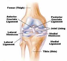 Knee Replacement