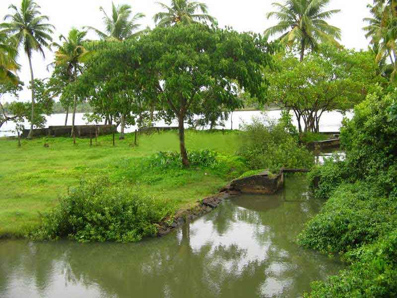 Download this Natural Beauty Kerala picture