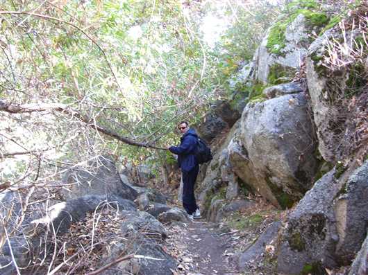 Nature walks may be the best form of exercise.