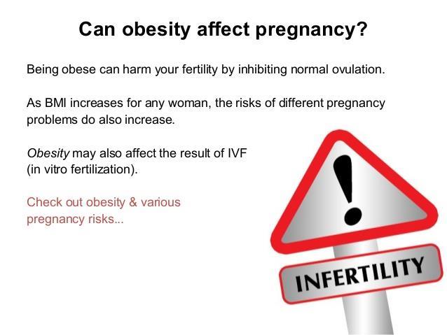 Obesity, Fertility and IVF