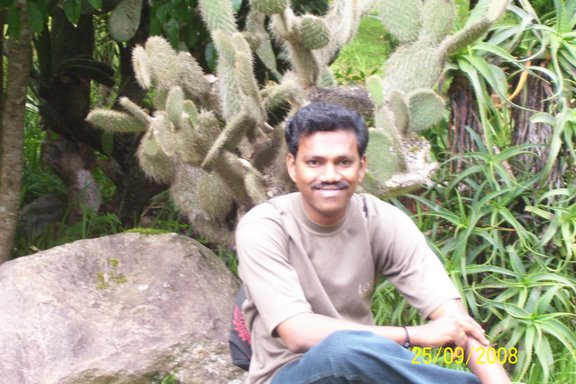 Ooty