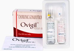 Ovigil 5000IU – Human Chorionic Gonadotropin