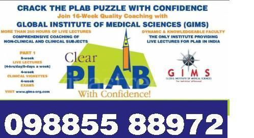 plab training