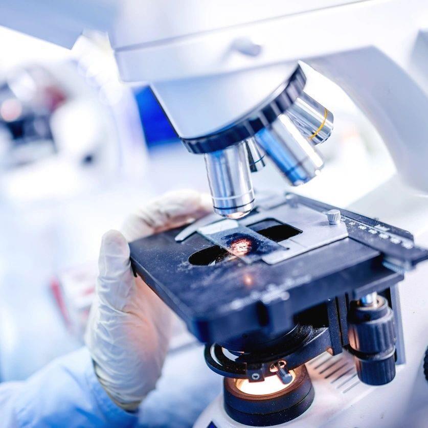 Laboratory Testing Services